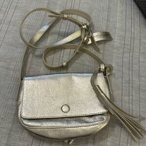 American Eagle Crossbody Bag